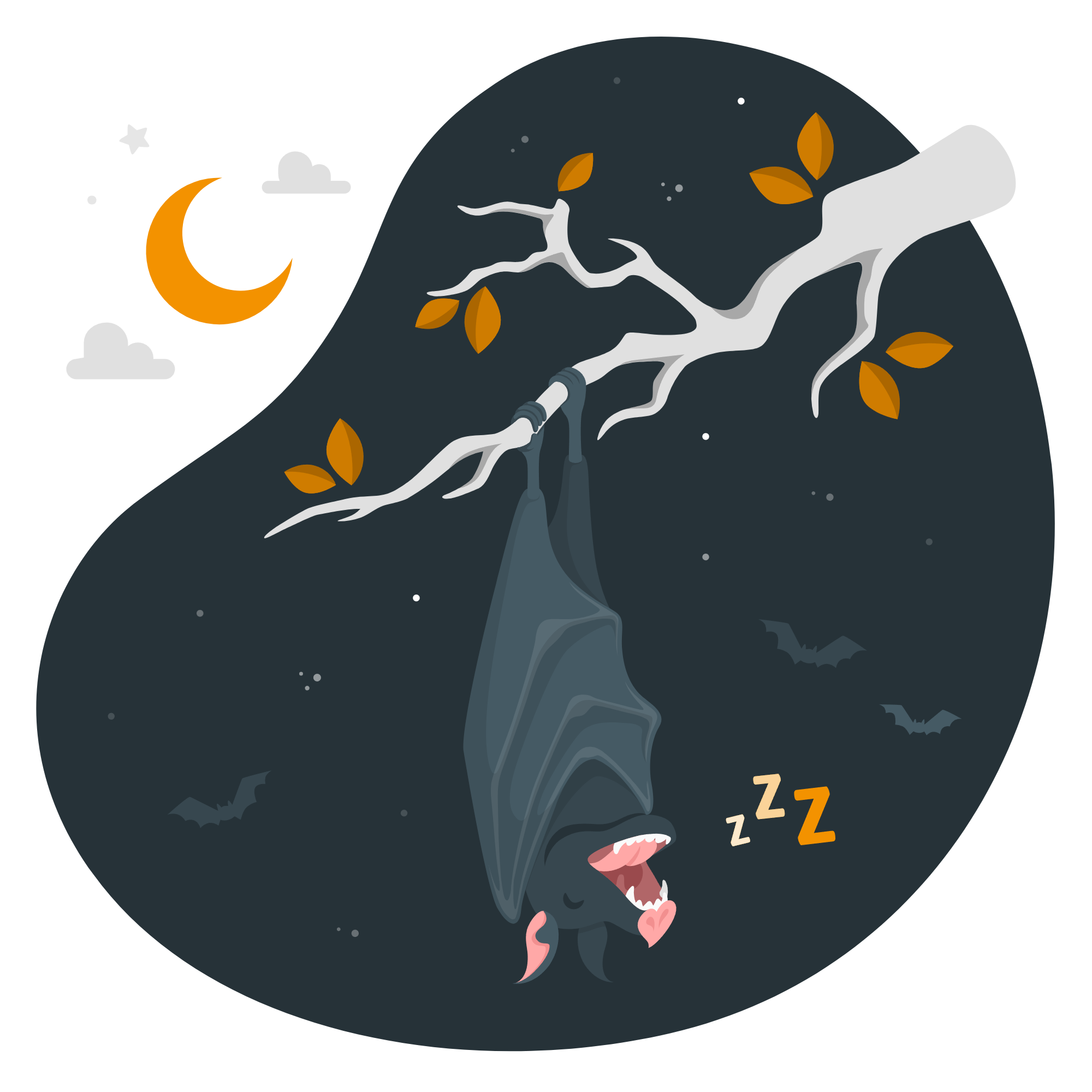 Sleeping bat-amico